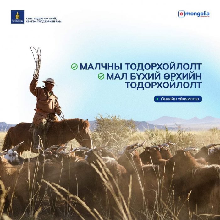 Малчид, иргэд та бүхэн "Малчны тодорхойлолт" болон "Мал бүхий өрхийн тодорхойлолт"-ыг www.e-mongolia.mn платформоос авах боломжтой.
